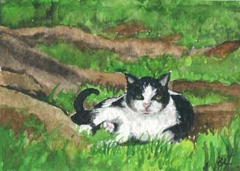 "What's New Pussycat?" by Beverly Larson, Oregon WI - Watercolor